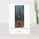 Bomen in late herfst: digitaal veranderd bos kaart (Achterkant)