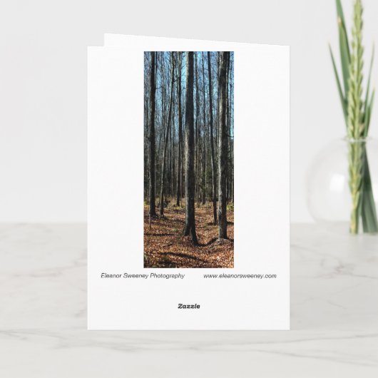 Bomen in late herfst: digitaal veranderd bos kaart (Achterkant)