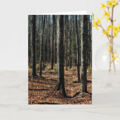 Bomen in late herfst: digitaal veranderd bos kaart (Gele Bloem)