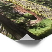 Bomen in Mariposa Grove Poster (Hoek)