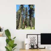 Bomen in Mariposa Grove Poster (Thuiskantoor)