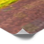 Bomen in Ottawa Park. Bestel nu Poster (Hoek)