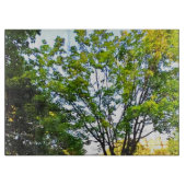 Bomen in Ottawa Park. Bestel nu Snijplank (Voorkant)