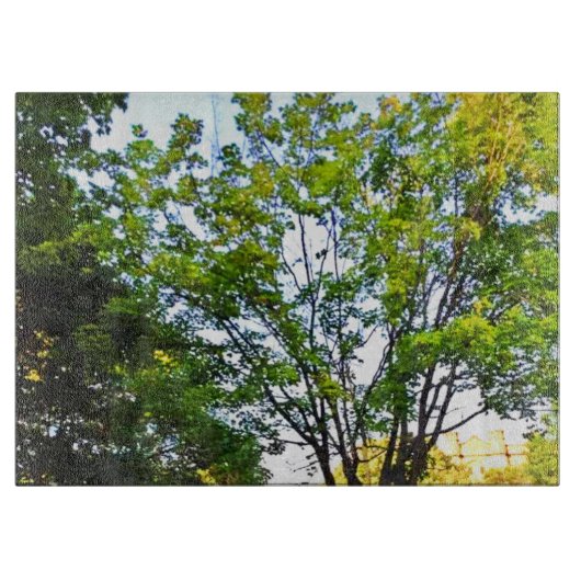 Bomen in Ottawa Park. Bestel nu Snijplank (Voorkant)