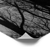 Bomen in Silhouette Sun Rays Black en White Poster (Hoek)