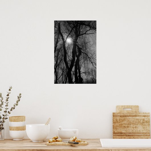Bomen in Silhouette Sun Rays Black en White Poster (Keuken)