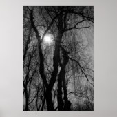 Bomen in Silhouette Sun Rays Black en White Poster (Voorkant)