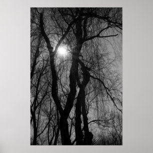 Bomen in Silhouette Sun Rays Black en White Poster