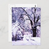 Bomen in sneeuw briefkaart (Voorkant / Achterkant)