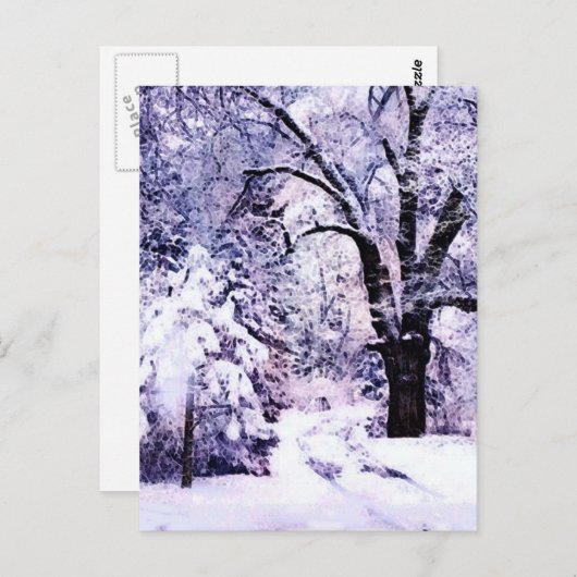 Bomen in sneeuw briefkaart (Voorkant / Achterkant)