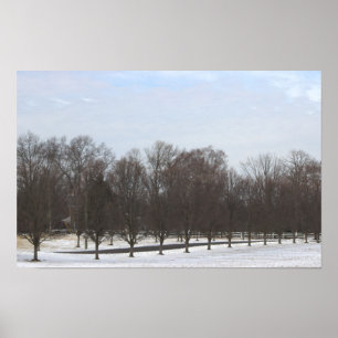 Bomen in Sneeuw Poster