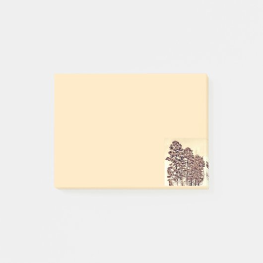 Bomen in zonlicht post-it® notes (Voorkant)
