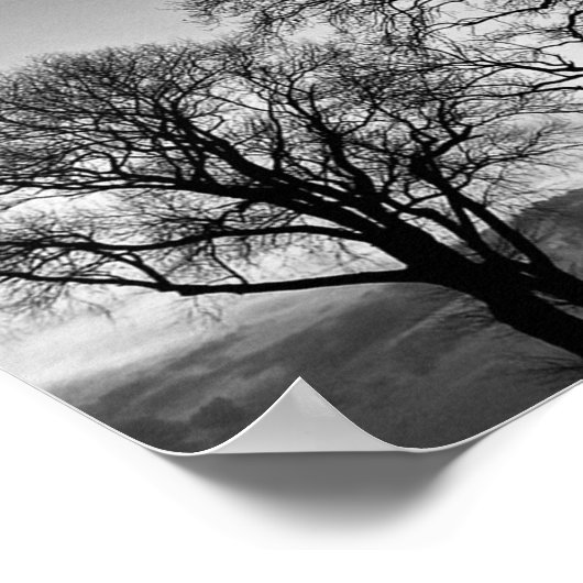 Bomen in zwart-wit Poster (Hoek)