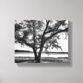 Bomen in zwart-wit Stretched Canvas Print (Voorkant)