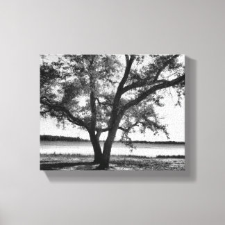 Bomen in zwart-wit Stretched Canvas Print