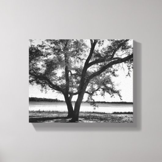 Bomen in zwart-wit Stretched Canvas Print (Voorkant)