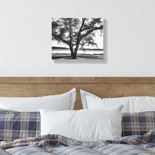 Bomen in zwart-wit Stretched Canvas Print (Insitu (Slaapkamer))