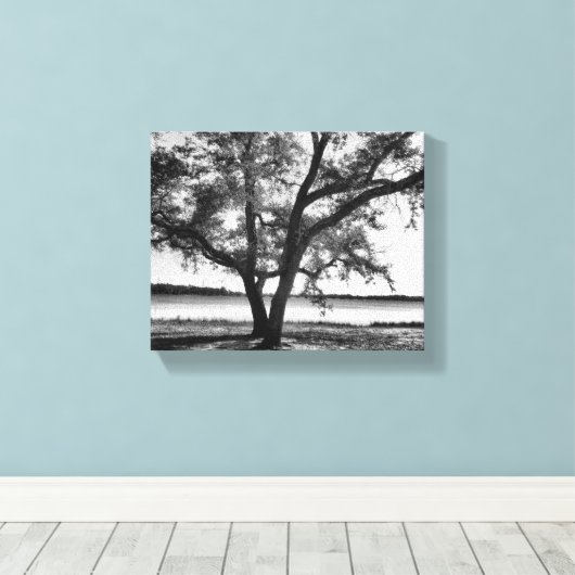 Bomen in zwart-wit Stretched Canvas Print (Insitu (Houten vloer))