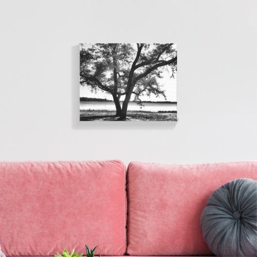 Bomen in zwart-wit Stretched Canvas Print (Insitu (Woonkamer))