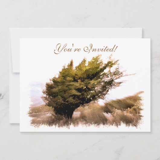 BOMEN KAART (Voorkant)