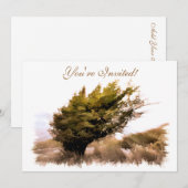 BOMEN KAART (Voorkant / Achterkant)