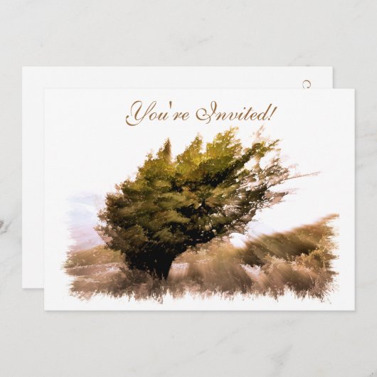 BOMEN KAART (Voorkant / Achterkant)