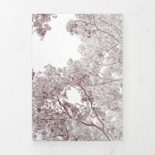 Bomen Kaart 4 (Cover)