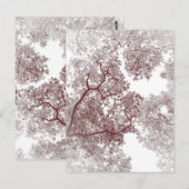 Bomen Kaart 4 (Voorkant / Achterkant)