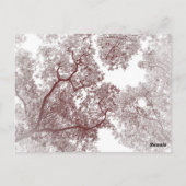 Bomen Kaart 4 (Achterkant)