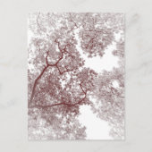 Bomen Kaart 4 (Voorkant)