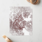 Bomen-kaart 4 notitiekaartje (Voorkant / Achterkant in situ)