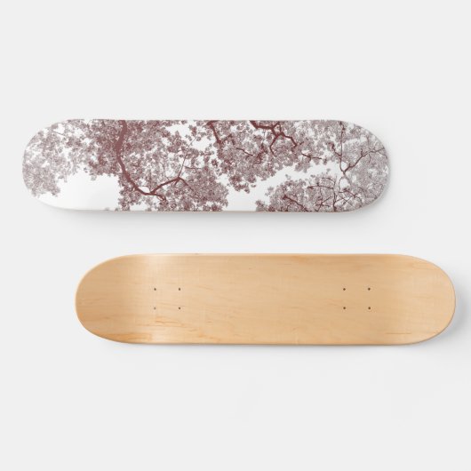Bomen-kaart 4 persoonlijk skateboard (Horizontaal)