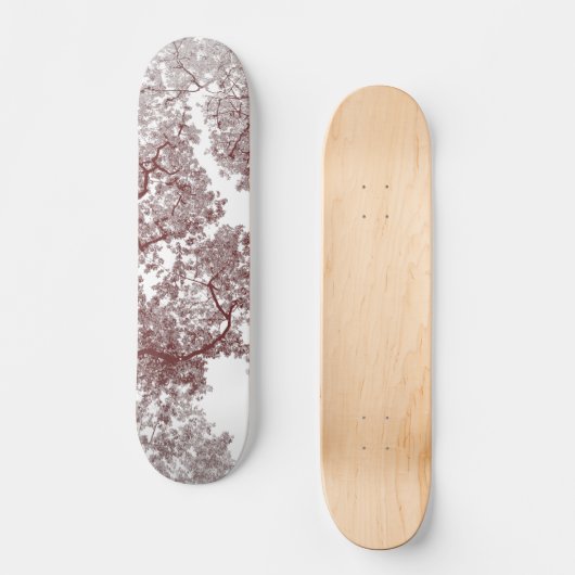 Bomen-kaart 4 persoonlijk skateboard (Voorkant)