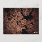 Bomen Kaart 5 (Achterkant)