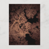 Bomen Kaart 5 (Voorkant)