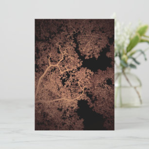 Bomen Kaart 5