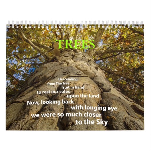 Bomen Kalender (Hoes)