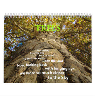 Bomen Kalender