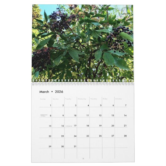 Bomen Kalender (Mar 2026)