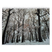 Bomen Kalender (Hoes)