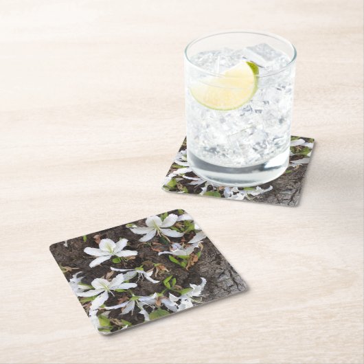 Bomen Kartonnen Onderzetters (Insitu)