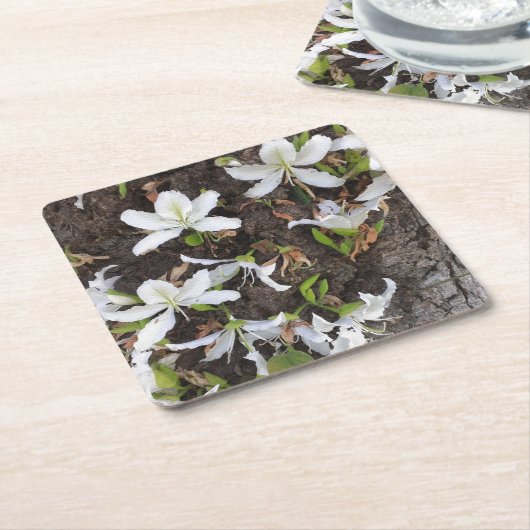 Bomen Kartonnen Onderzetters (Schuin)