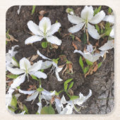 Bomen Kartonnen Onderzetters (Voorkant)