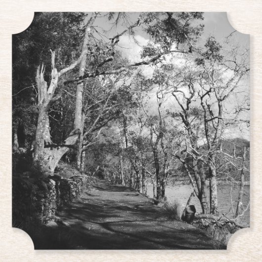 BOMEN KARTONNEN ONDERZETTERS (Voorkant)