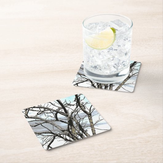 BOMEN KARTONNEN ONDERZETTERS (Insitu)