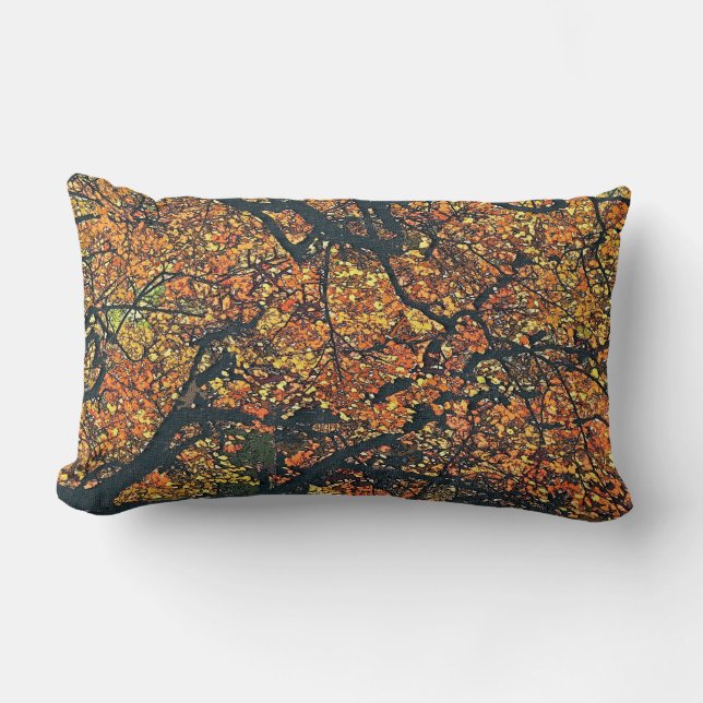 BOMEN KUSSEN (Voorkant)