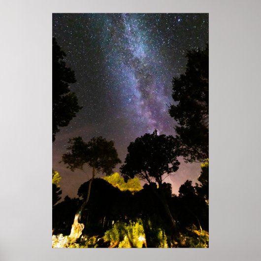 Bomen landschap met melkweg poster (Voorkant)