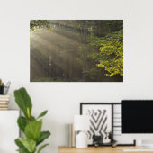 Bomen langs 7 Lakes Drive, Harriman, NY Poster (Thuiskantoor)