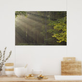 Bomen langs 7 Lakes Drive, Harriman, NY Poster (Keuken)
