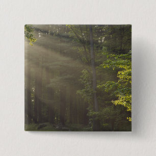 Bomen langs 7 Lakes Drive, Harriman, NY Vierkante Button 5,1 Cm